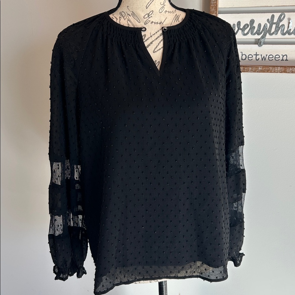 Women’s Feminine Lacey Long Sleeve Blouse OverLay Embroidery Stitching Textured